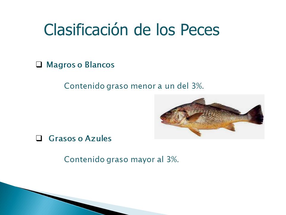Blancos azules y pescados clasificacion de